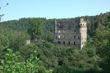 Fototapeta na wymiar Burg Balduinseck im Hunsrueck