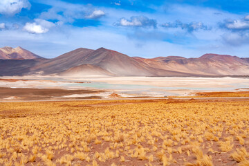 Salar de Aguas Calientes (Spanish for Hot Waters Salt Lake) and lagoon in the Altiplano over 4000...