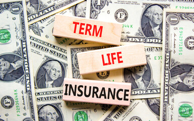 Term life insurance symbol. Concept words Term life insurance on beautiful wooden blocks. Dollar...