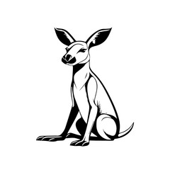 Obraz premium kangaroo illustration