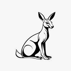 kangaroo vector illustration