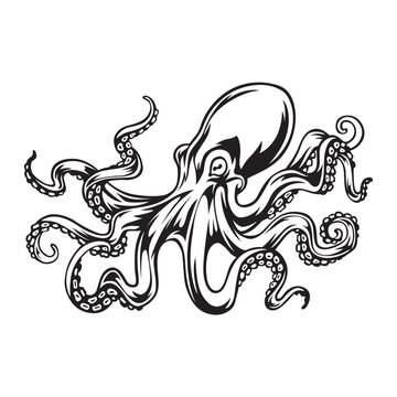Octopus, Octopus vector, Octopus illustration, Octopus Art, Sea Animal, Sea food, Octopus Cartoon