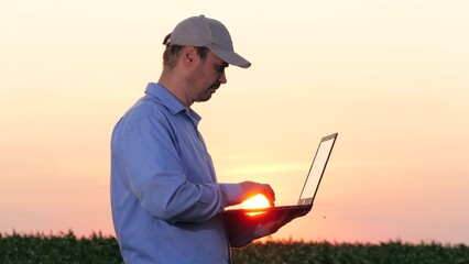 Farmer with laptop evaluates development of corn against backdrop of sunset. Modern peasant observes corn plants holding laptop. Farmer proficient in computer operates on laptop examining corn field