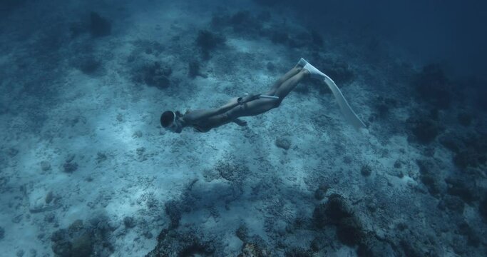 Woman freediver glides on deep in tropical blue sea. Freediver girl swims underwater