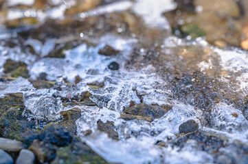 地面に張った氷