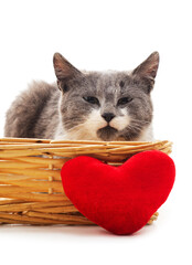 Little kitten in the basket with a toy heart.