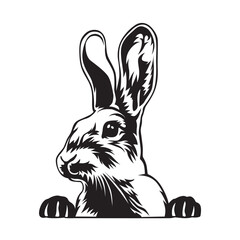 Rabbit, Rabbit Vector, Rabbit illustration, Rabbit Face, Rabbit Black and white, Cute Rabbit, Rabbit Jump, Funny Rabbit, Bunny, Animal, Cute