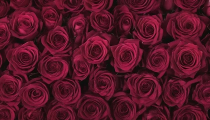 Fotobehang Deep bordeaux red roses top view background  © Lied