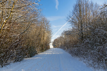 Obraz premium Verschneite Winterlandschaft