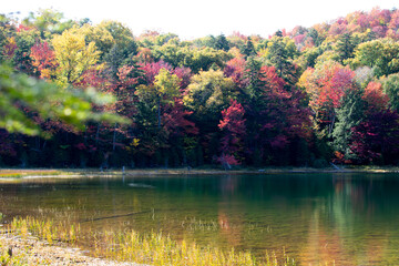 Mountain Pond, Adirondacks, NY