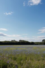 Fototapeta premium Summer Sky Over River Landscape with Lake, Trees, and Cloud Reflections in a Peaceful Nature Scene