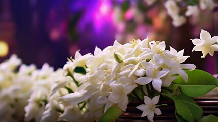 Beautiful white Jasmine flowers.