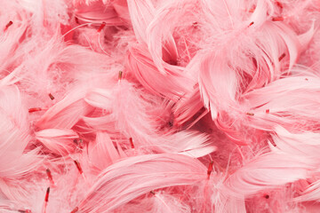 Feathers background. Artificial decorative feathers texture. Soft cotton background. Fluffy bird feather. Various shapes. Pink color cotton wool pattern. Handmade decorations decoupage. - obrazy, fototapety, plakaty