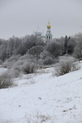 White snow on a bare tree branches on a frosty winter day, close up. Natural background. Selective botanical background.