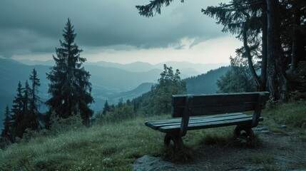  a wooden bench sitting on top of a lush green hillside next to a forest filled with lots of tall trees.