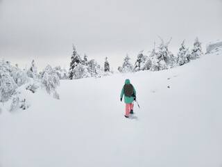 Polar expedition. A lonely traveler on snowshoes walks along a snowy slope in a foggy frosty shroud.