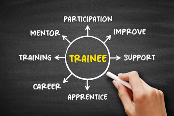 Trainee -  individual taking part in a trainee program within an organization after having...