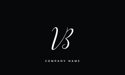 VB, BV, V, B Abstract Letters Logo Monogram