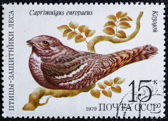 Soviet Union, circa 1979 : USSR post stamp.Series Birds - a protectors wood.The bird Caprimulgus...