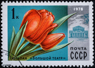 Soviet Union, circa 1978 : USSR post stamp.With the image of the Tulip and the Bolshoi Theater,...