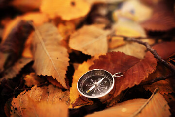 Old vintage compass in the forest with leaves at the background.