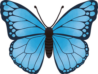 Blue Symmetrical Butterfly Illustration