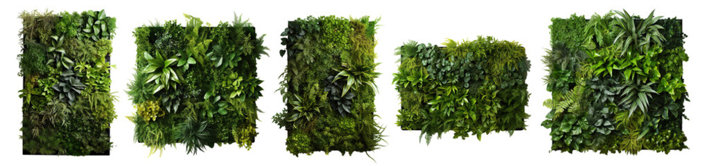 Set of green garden walls from tropical plants, cut out - Powered by Adobe