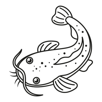 black and white catfish icon, line vector illustration with cute funny fish, cartoon underwater or marine print for children with ocean animal