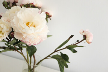 Aesthetic white peonies flower bouquet