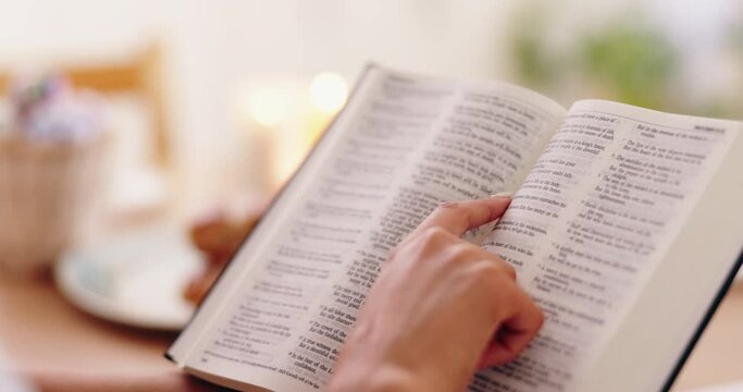 Person, bible book and point with hands, reading or studying for praise, worship or faith in home. Knowledge, closeup and information with religion, learning or spiritual guide for connection to God