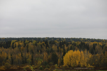 Beautiful autumn landscape with yellow trees and sun. Colorful foliage in the park. Falling leaves natural background