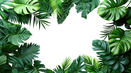 Poster Tropical green leaves for decoration of art frame wallpaper,card on transparent background. © Areerat