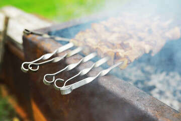 Delicious and juicy barbecue fried on coals in nature during a picnic. High quality photo