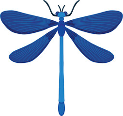 Blue Dragonfly Illustration