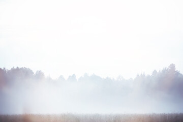 Fog in the field. Evening nature summer with white fog. - obrazy, fototapety, plakaty