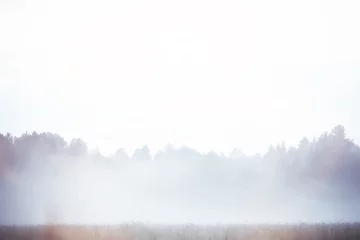 Foto op Plexiglas Fog in the field. Evening nature summer with white fog. © alexkich