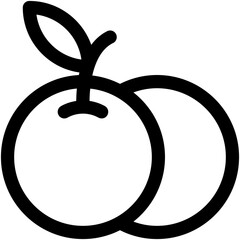 Orange Vector Icon