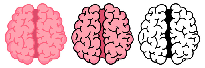 Isolated brain icon with editable stroke and transparent background. Human brain top view vector icon for business, idea, research, problem solving, coding, programming, science, knowledge, UI, web