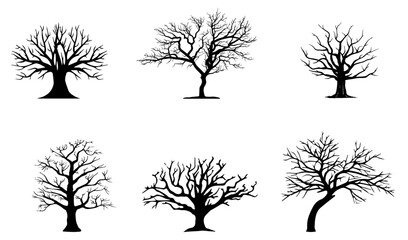 Tree silhouettes on white background. Tree silhouttes