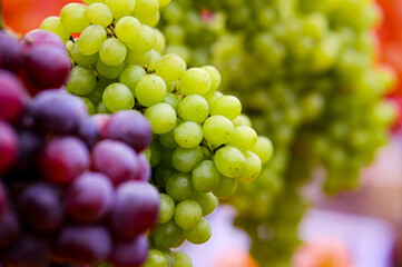 bunch of green grapes hanging