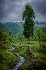 Arang Kel is a beautiful village settled in Kashmir on a top of mountains near a small town of Kel.