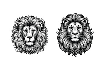 tiger head illustration. hand drawn tiger black and white vector illustration. isolated white background