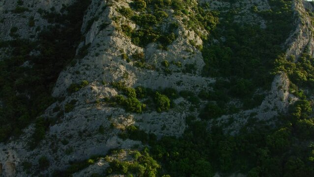 vue a&eacute;rienne drone de la for&ecirc;t des c&egrave;dres dans le luberon