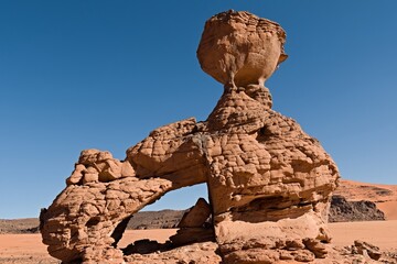 Fototapeta na wymiar Hedgehog rock formation in Tadrart Rouge, Tassili N'Ajjer National Park. Sahara, Algeria, Africa.
