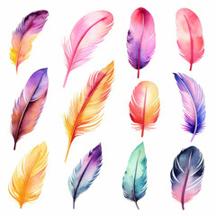 Watercolor exotic bird feathers. Multi-colored feathers. - obrazy, fototapety, plakaty