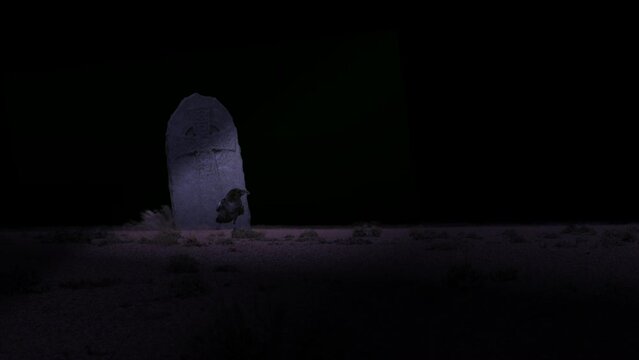 Raven on a grave