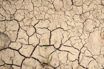 Top view of dry soil with cracks and fissures, climate change or global warming concept background, natural backdrop