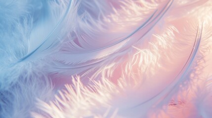 Fototapeta na wymiar soft White pinkish feather texture background