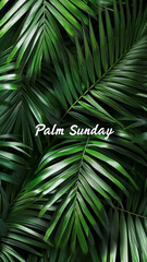 The inscription - Palm Sunday on the background of intertwined palm leaves, vertical poster