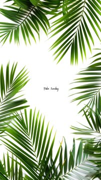 Vertical banner for Palm Sunday with text in the middle, idea for wallpaper